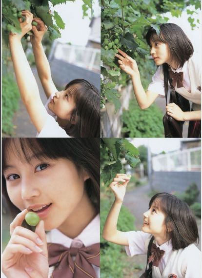 神勇飞虎霸王花