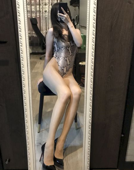 永远的北极熊