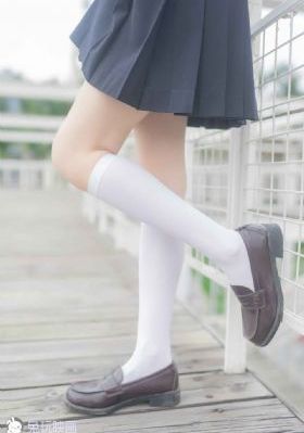 女子监狱[第五季]