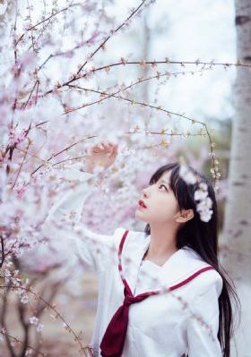 官场桃花运