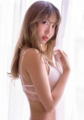 远去的飞鹰